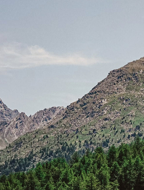 Show more product shows